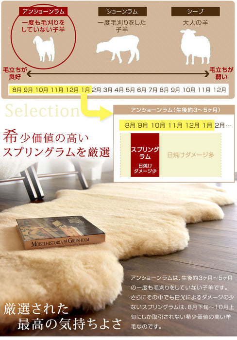 ムートンラグ 約180×300 日本製 厚手 抗菌 防ダニ 16匹物 洗濯できる