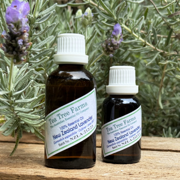 ニュージーランド ラベンダーオイル | ティーツリーファームズ