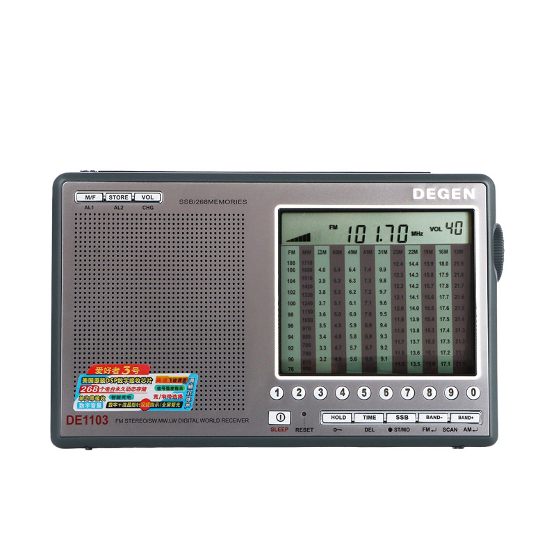 DE1103 DSP | TECSUN Radio