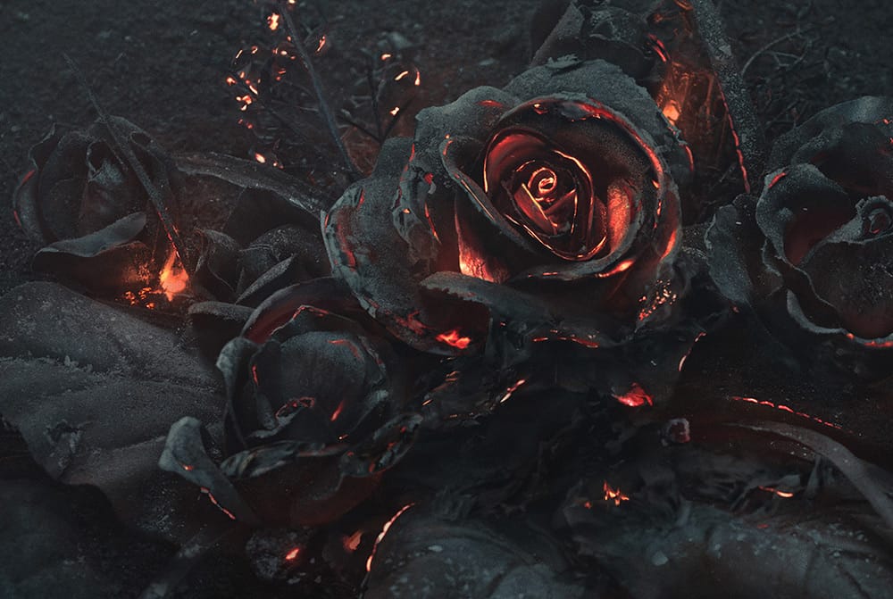 A Smoldering Bouquet of Roses Photographed by Ars Thanea — Colossal