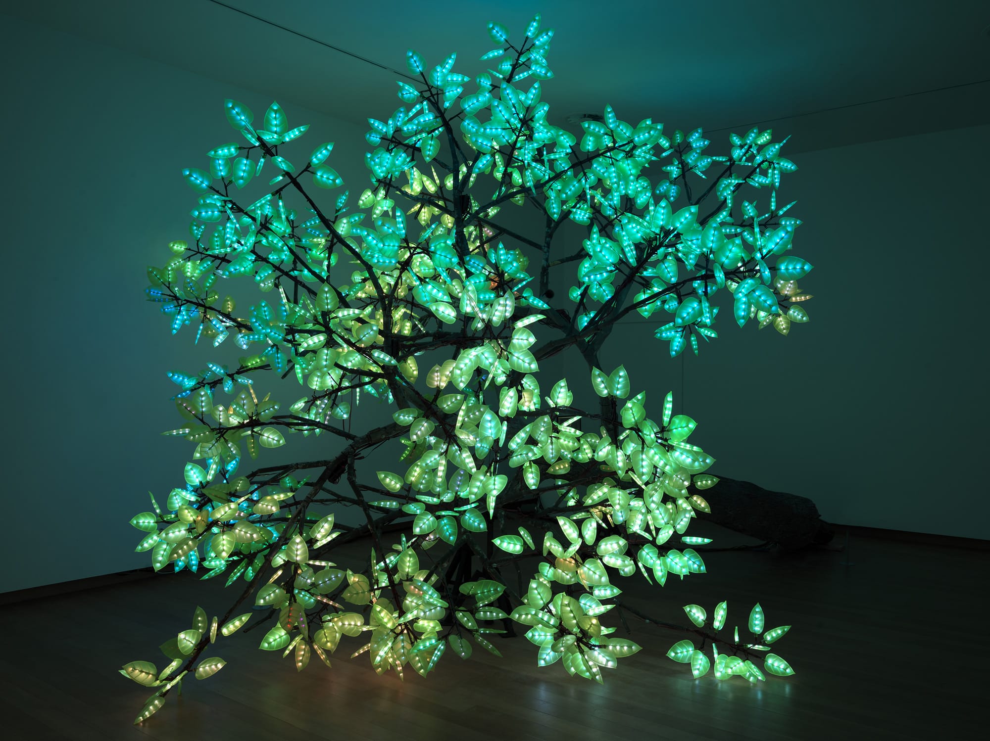 アート・デザイン・音楽 natural phenomenon アート・デザイン・音楽