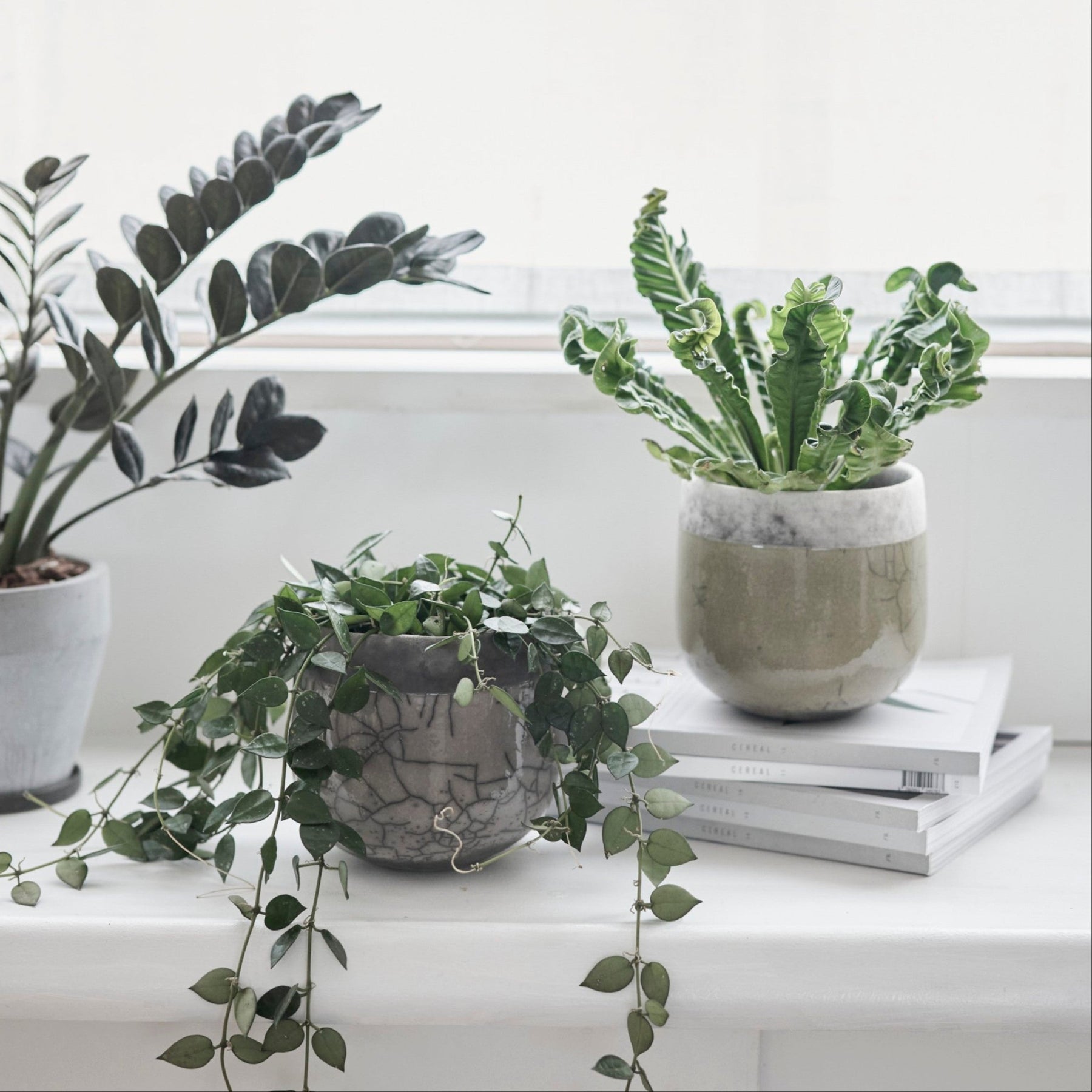 minsk-pot_15_1800x1800.jpg?v=