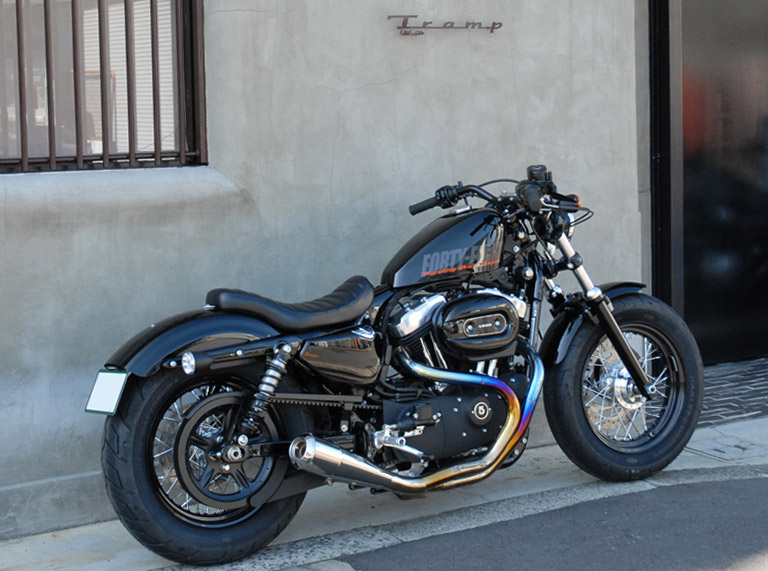 TrampCycle Products for Harley Davidson | Sportster TMF-034E