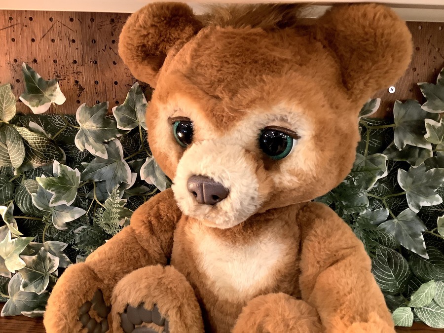 CUBBY クマのぬいぐるみ こぐまのカビー 廃盤品 CUBBY クマの