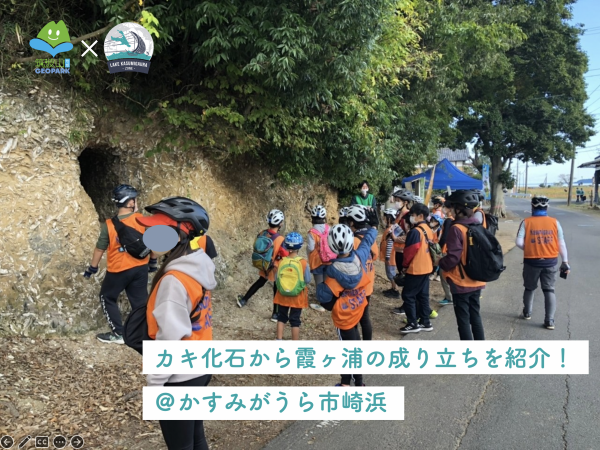 かすみがうら市崎浜にあるカキ化石を紹介しました！【保全活動】（2022