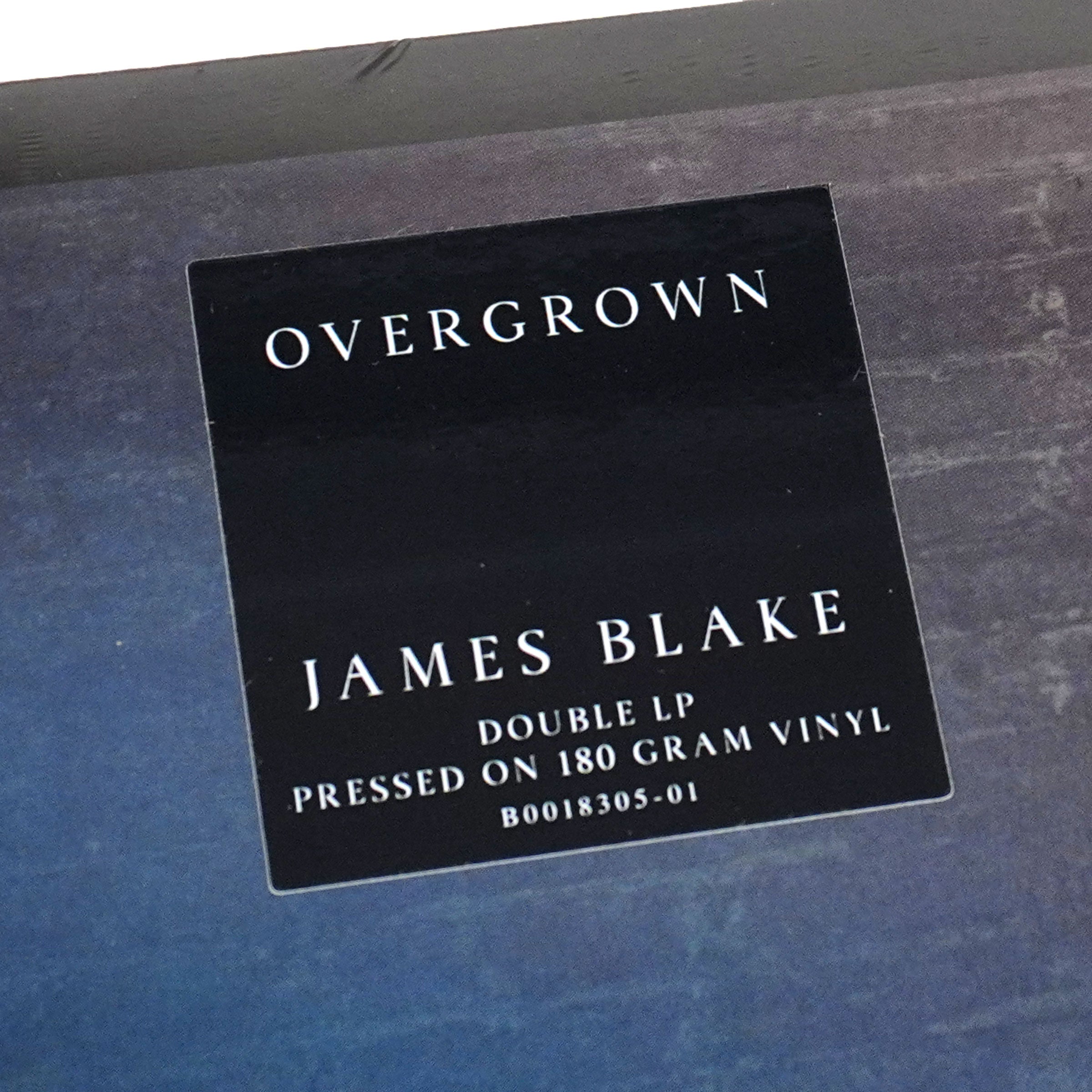 James Blake: Overgrown (180g) Vinyl 2LP – TurntableLab.com