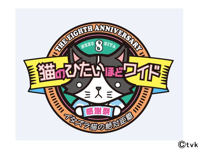 猫ひた8周年感謝祭」が来春開催決定！ テーマは“イタズラ猫の絶対距離
