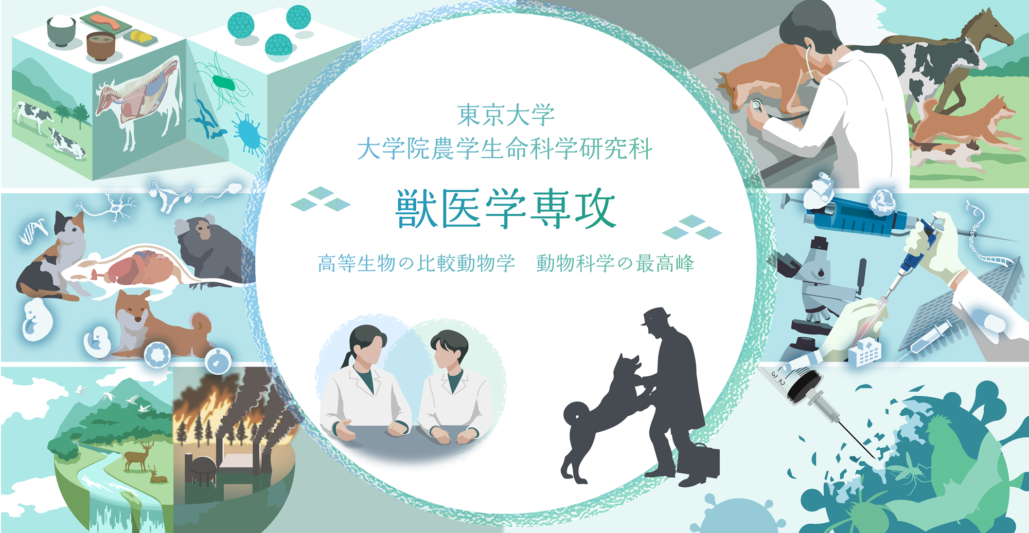 東京大学大学院 農学生命科学研究科 獣医解剖学教室