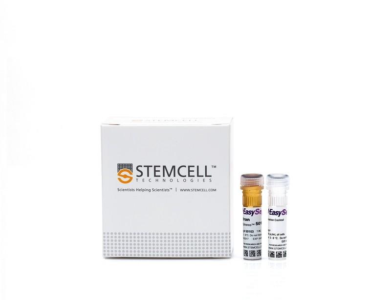 EasySep Human T Cell Isolation Kit | 製品情報 | ベリタス