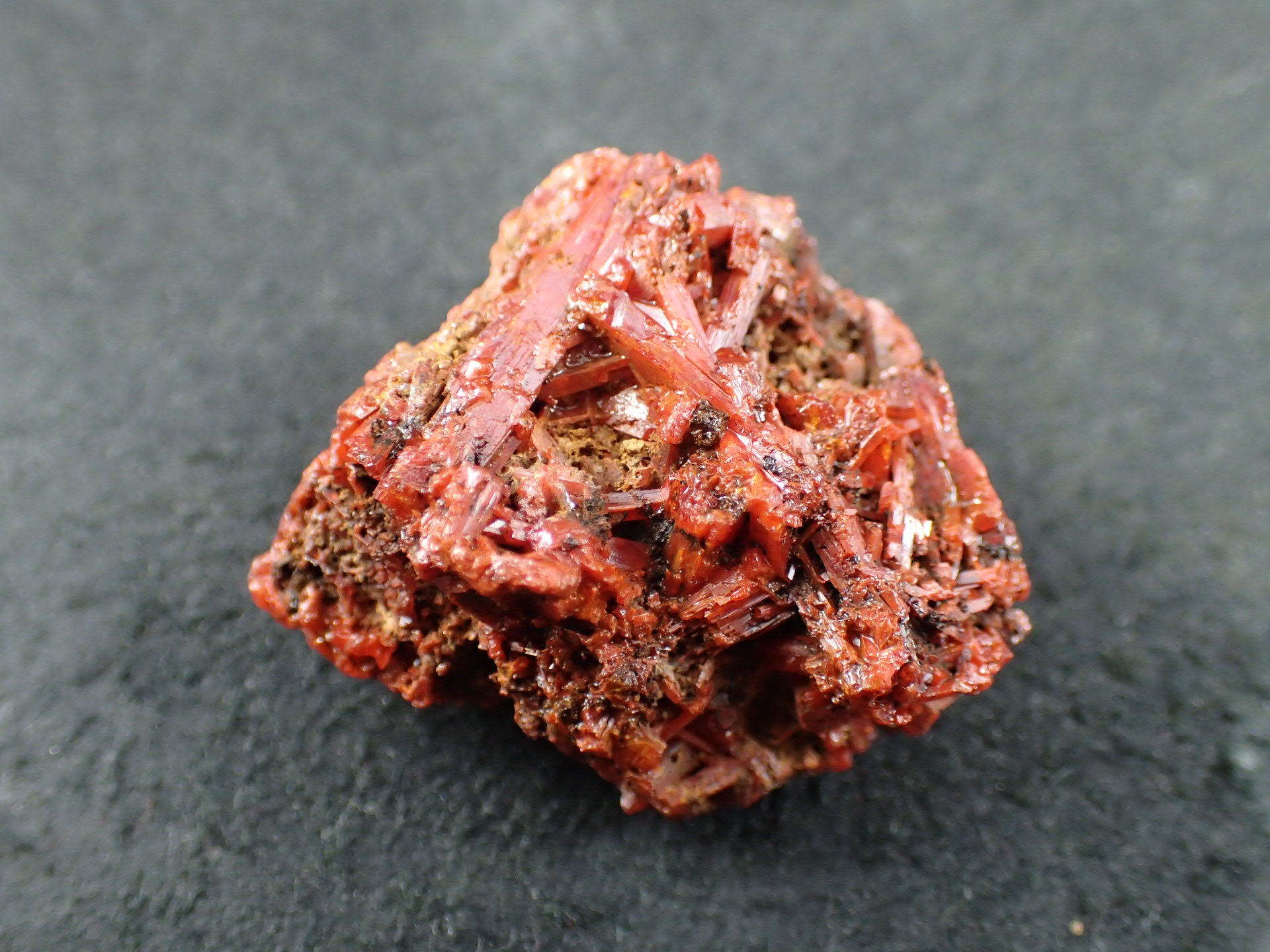 最高品質紅鉛鉱（(Crocoite)クロコアイト、PbCrO₄)) Adelaide Mine