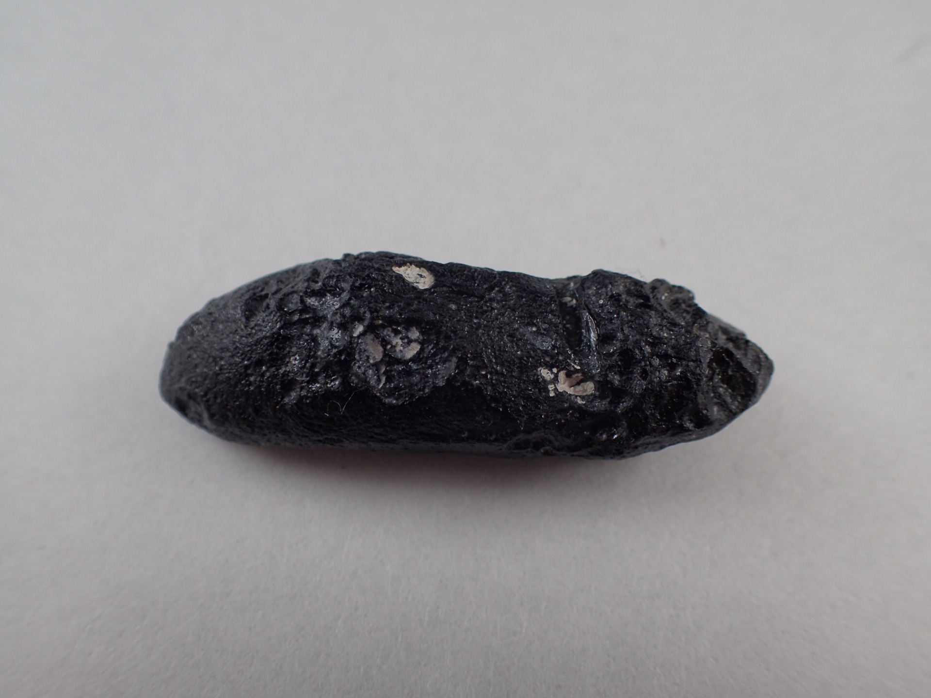 隕石 ｜石の販売専門店【vec stone club】