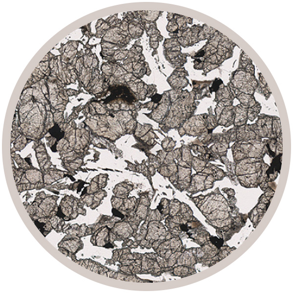 Zagami - Basaltic Shergottite