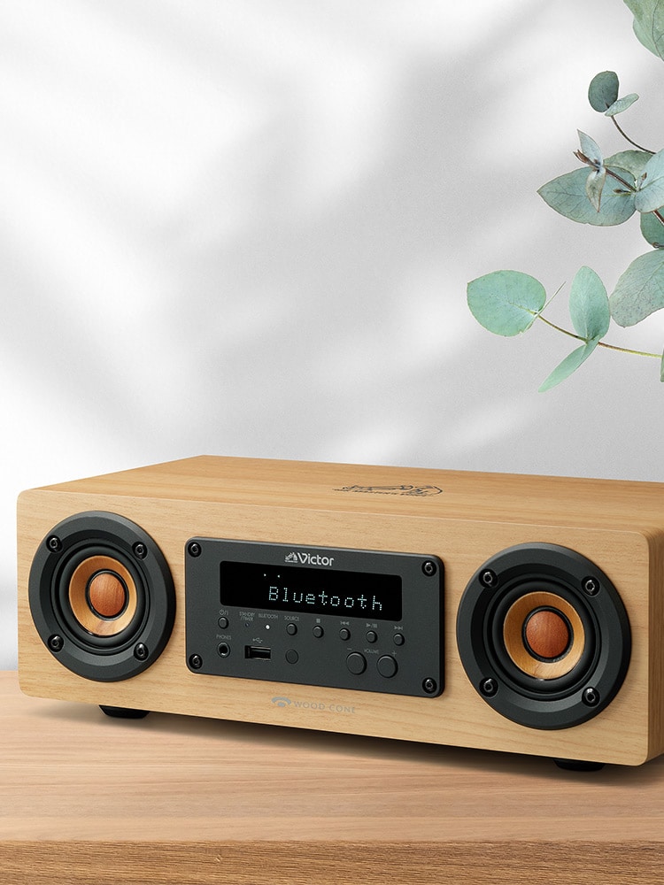 EX-DM10 | オーディオ | Victor