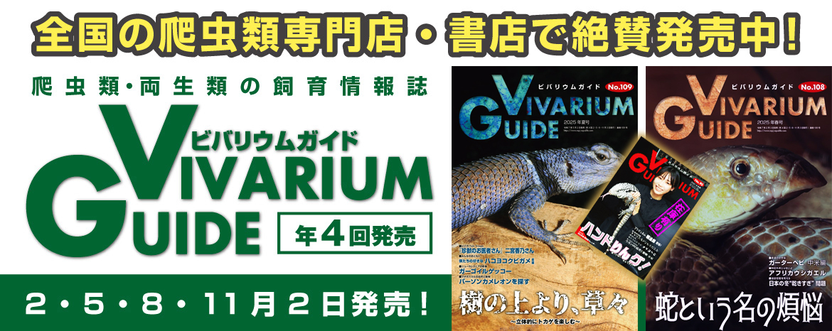新・飼育ハンドブック 動物図鑑 1-5セット 新 飼育ハンドブック水族館