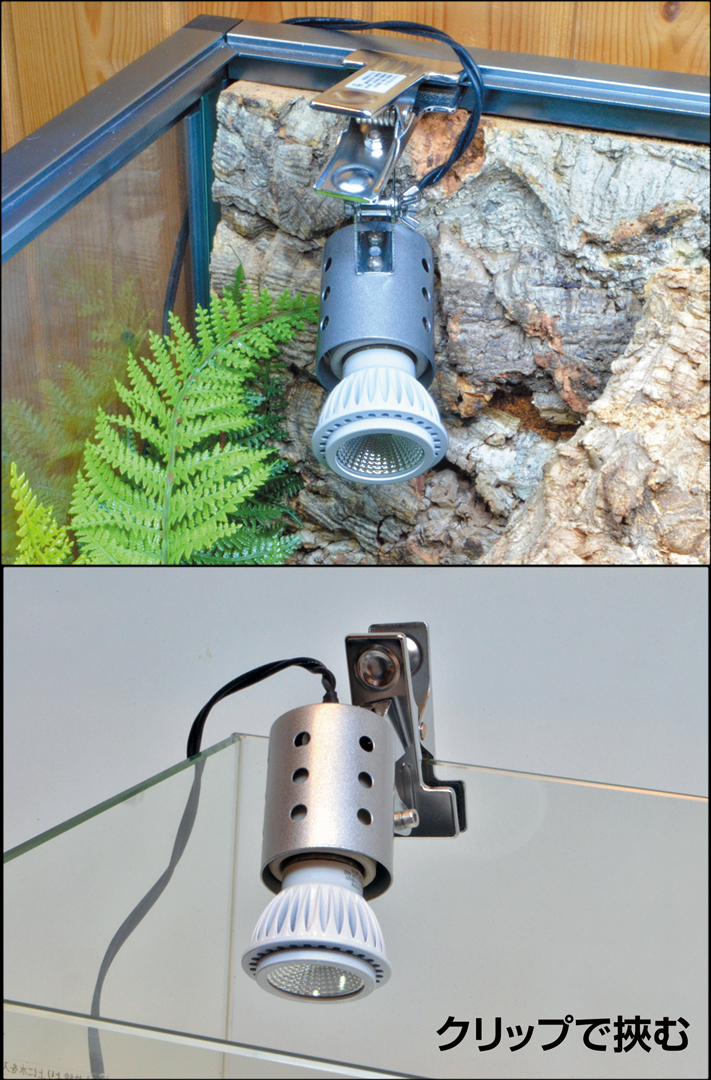 マイクロUV LED ホワイト E26 + ストロングスタンド灯具セット 販売 通販