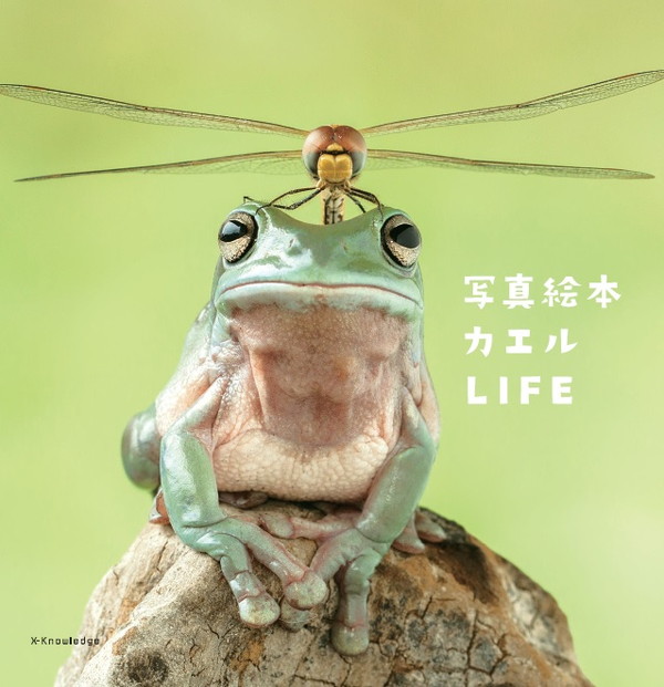X-Knowledge | 写真絵本 カエルLIFE