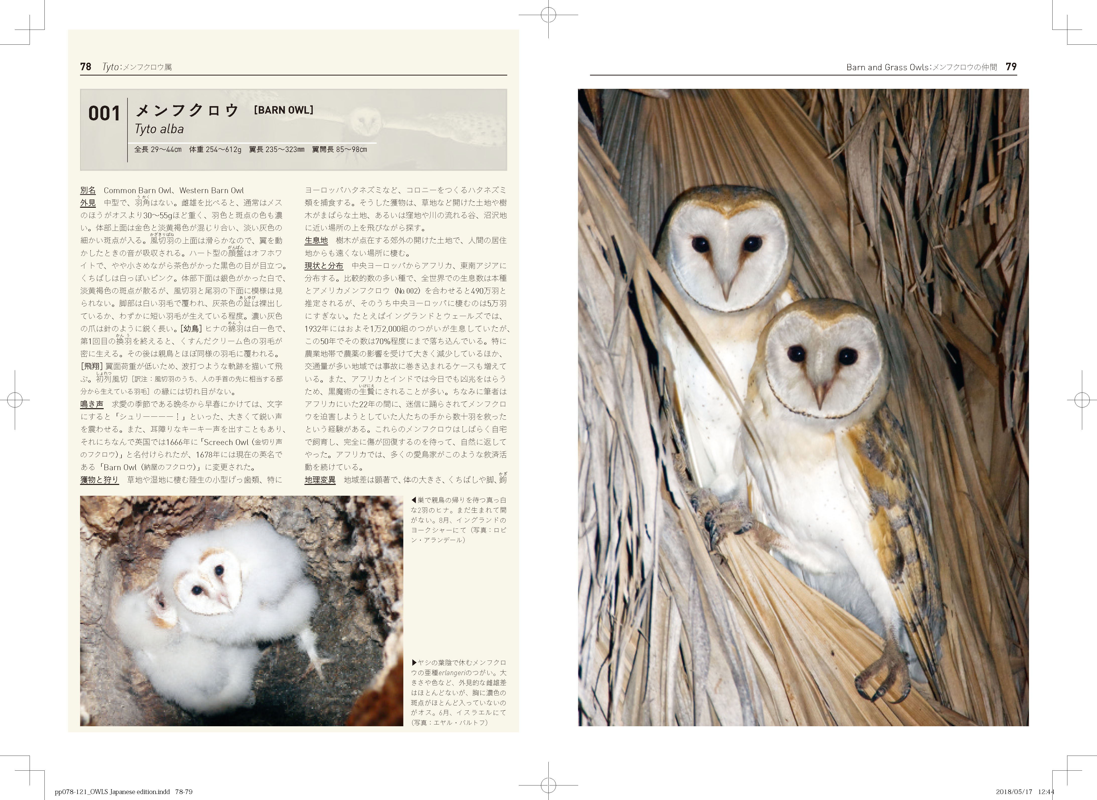 X-Knowledge | 世界のフクロウ全種図鑑