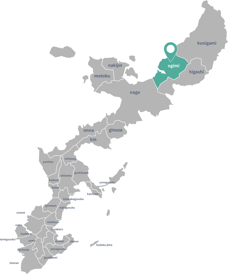 再販スタート｜沖縄 月桃（タイリン）エッセンシャルオイル - ヤング