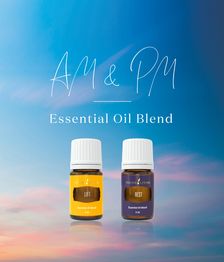 Young Living エッセンシャルオイルセット 専用 エッセンシャル オイル