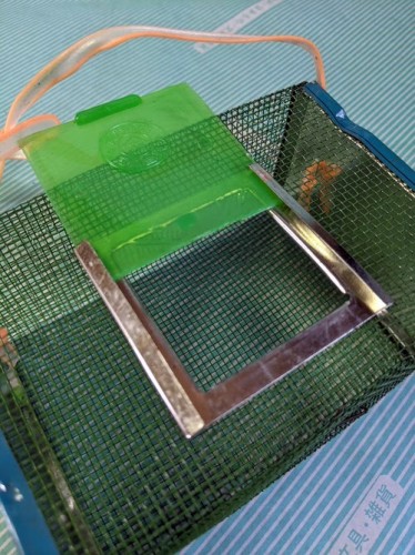 虫カゴ】金網 昆虫採集用 虫籠 蛍かご 蛍籠 / 会津 山内屋商店