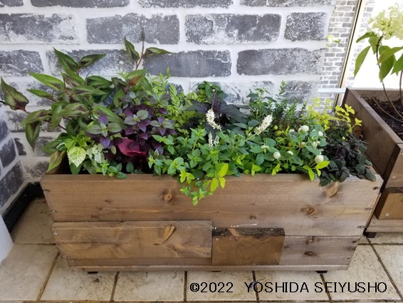 プランター1個でドラム缶30本分のCO2を固定！ - コラム