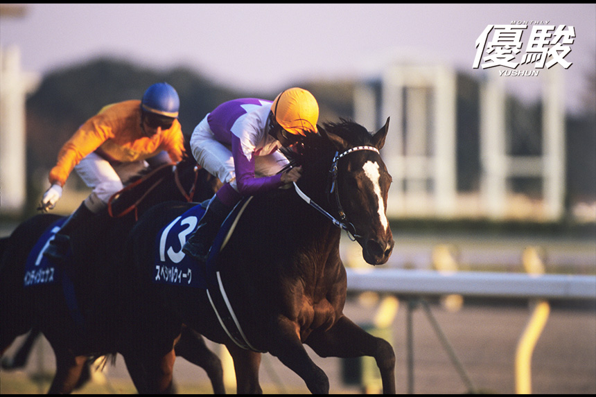 美麗でしなやかなサラブレッド スペシャルウィークと府中芝2400