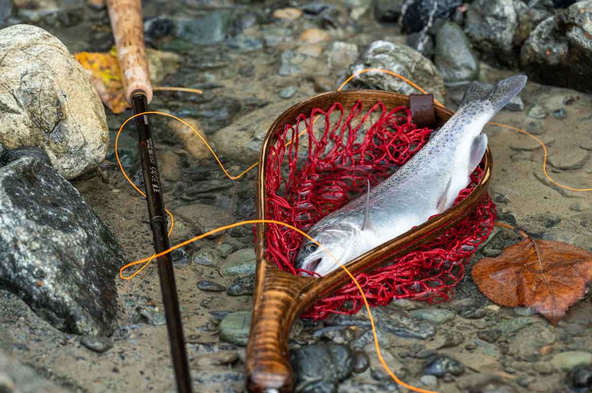 シマノ 天平テンカラNB LLS33レビュー！ちょっと良いテンカラ竿を買う