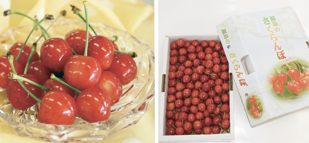 JA全農福島｜JA全農ウィークリー