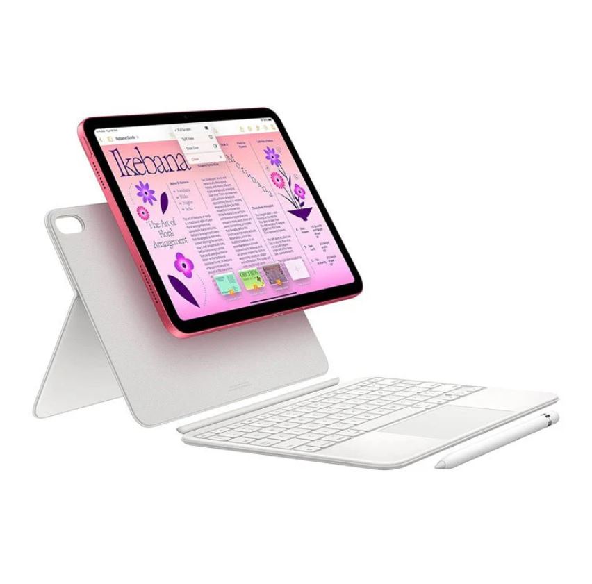 Apple iPad 10th Gen 256GB 10.9-inch Wifi-Pink – zstoreq8