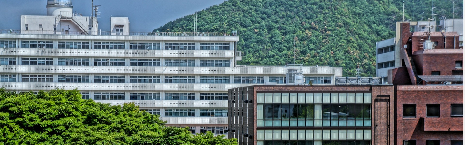 岐阜大学教育推進・学生支援機構