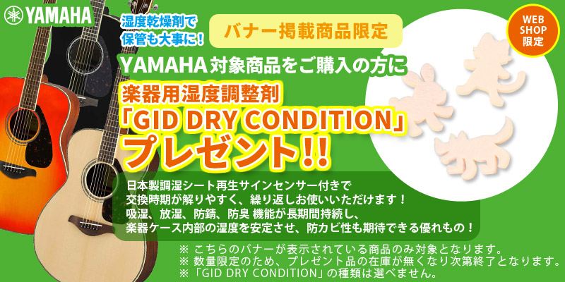 YAMAHA / LS6 ARE Natural (NT) 【専用ケースつき】 ヤマハ