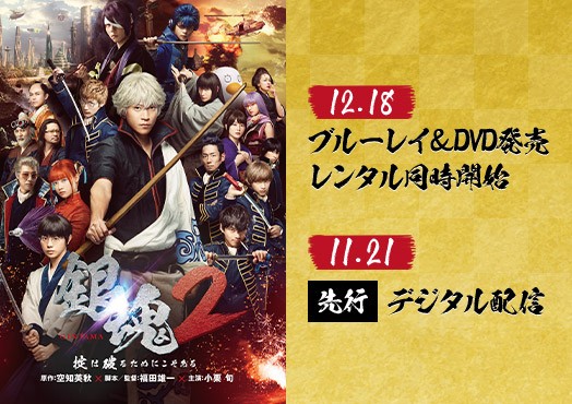 映画『銀魂2 掟は破るためにこそある』オフィシャルサイト