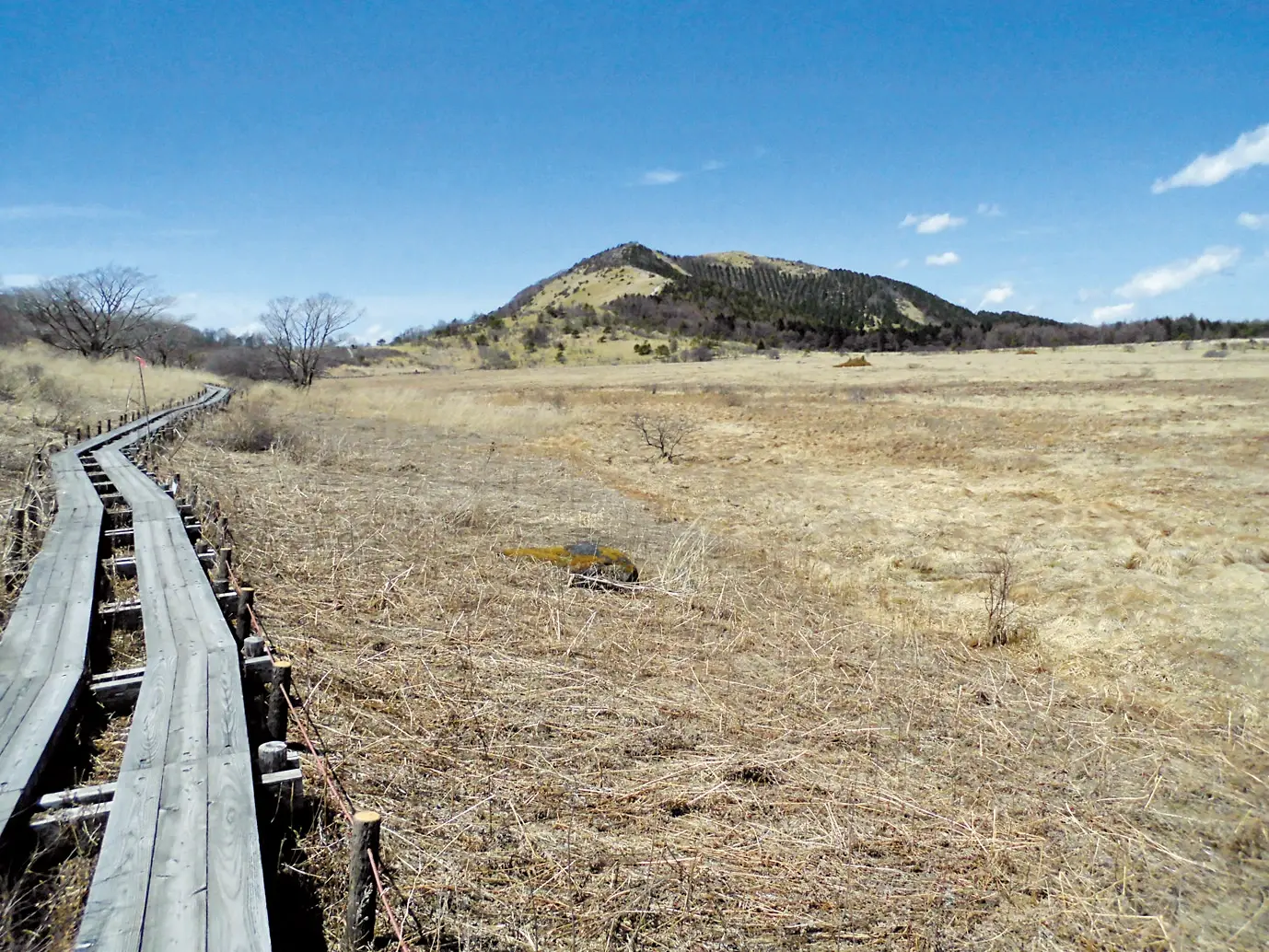 車山から八島ヶ原湿原へ】の登山コースガイド情報 | 山と高原地図Web