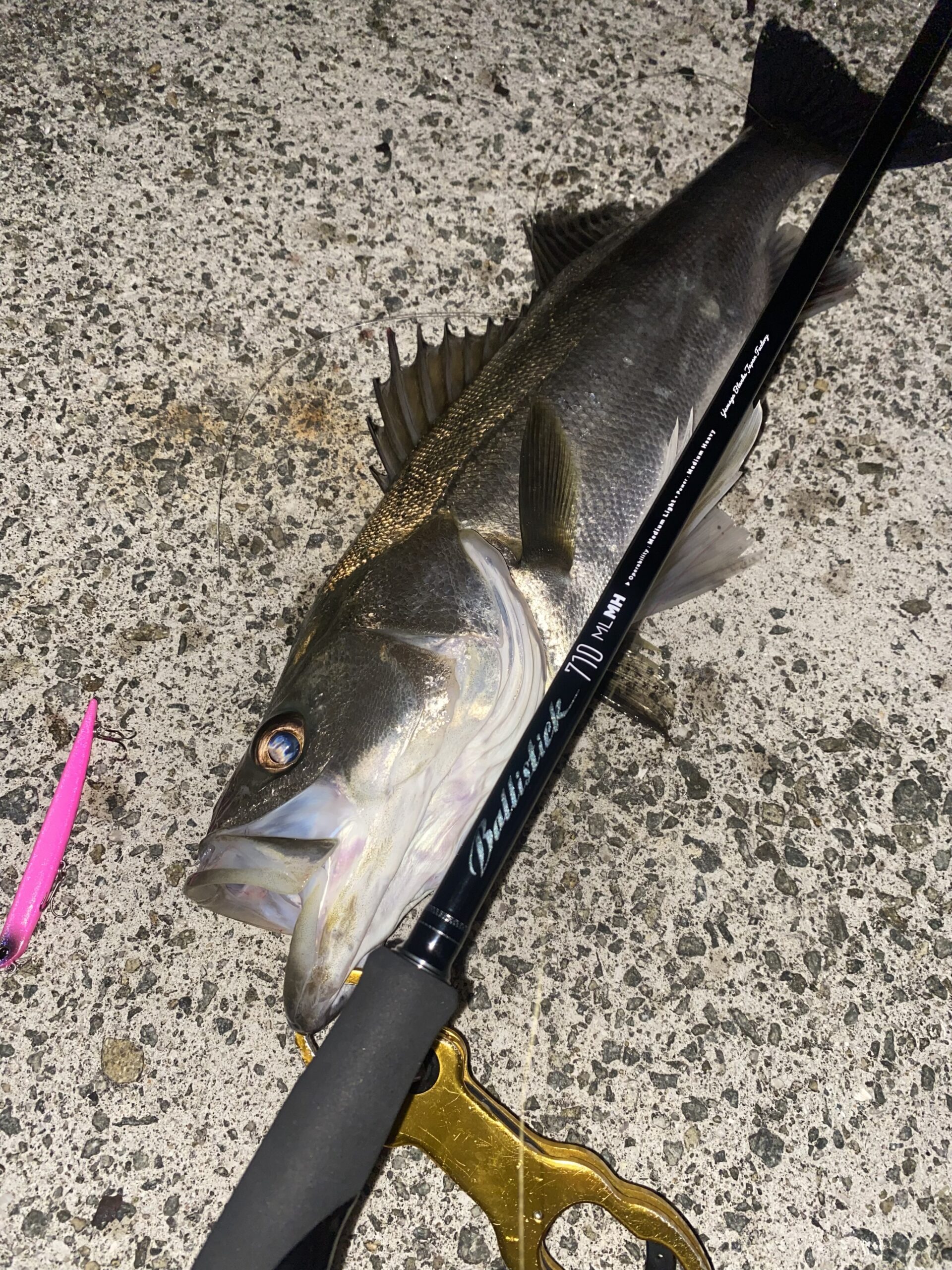 兵庫県】シーバス Ballistick 710ML-MH | YAMAGA BlanksYAMAGA Blanks