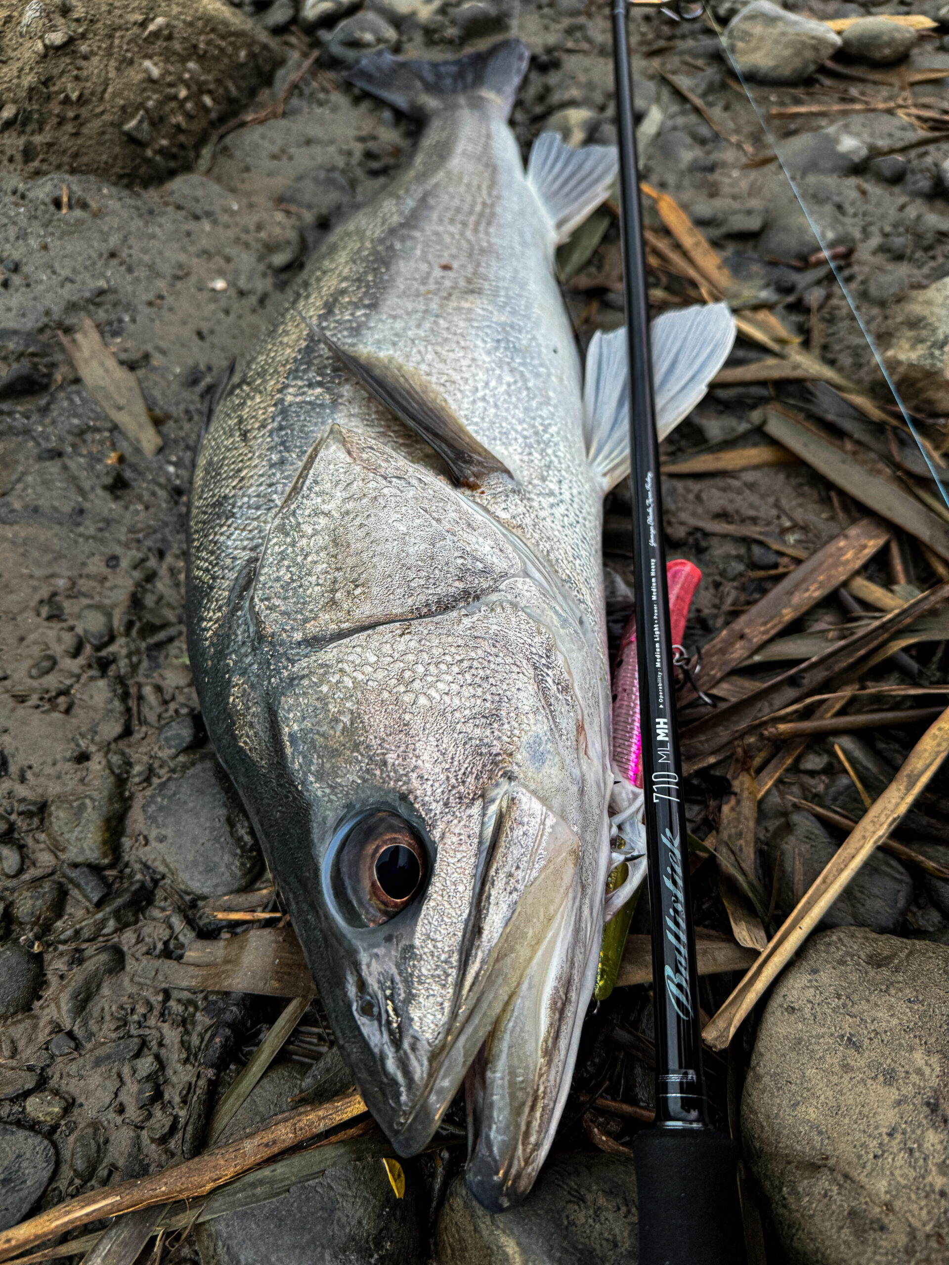 バリスティックシリーズの「進化」と「深化」【2025 新製品解説