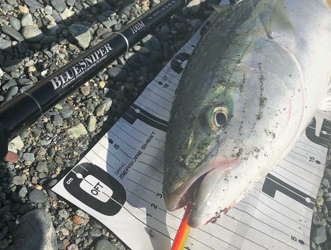 神奈川県 サーフ青物 BlueSniper100M | YAMAGA BlanksYAMAGA Blanks