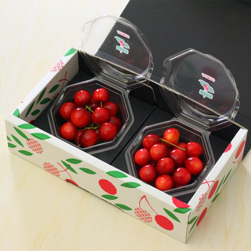 温室そだち 佐藤錦 さくらんぼ L 100g×2パック 4月下旬～5月初旬お届け