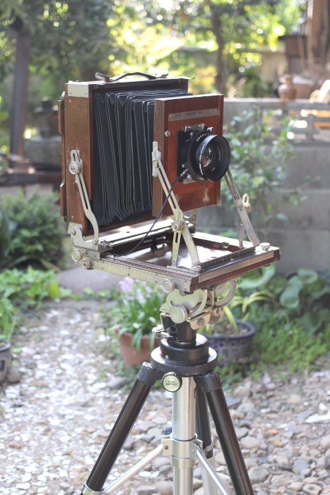 蛇腹の大判カメラで写真を撮ってもらいました | 古道具・古絵本 弥哉 ゃゃ