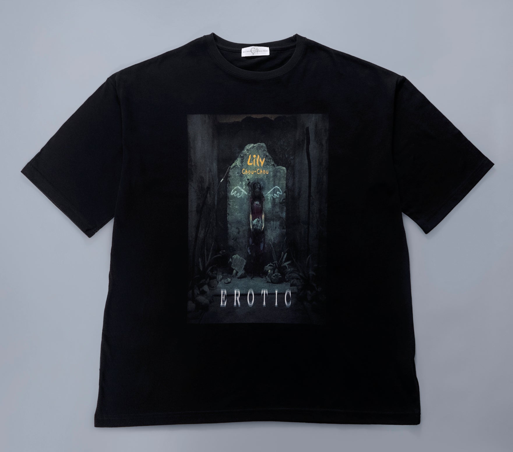 リリイ・シュシュのすべて・エロティック＞Tシャツ – 円都市場