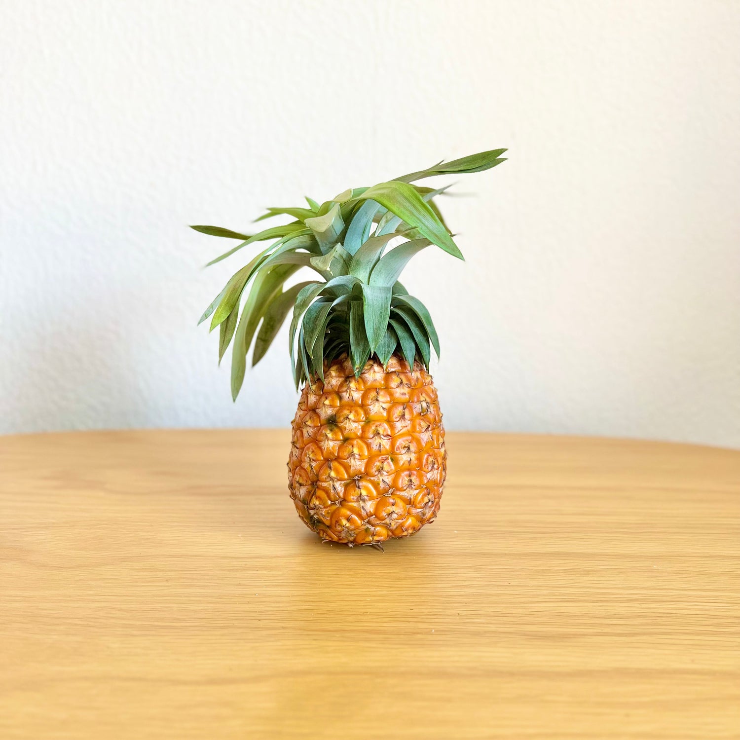 送料無料】もぎたて産地直送！沖縄県西表島産パイナップル