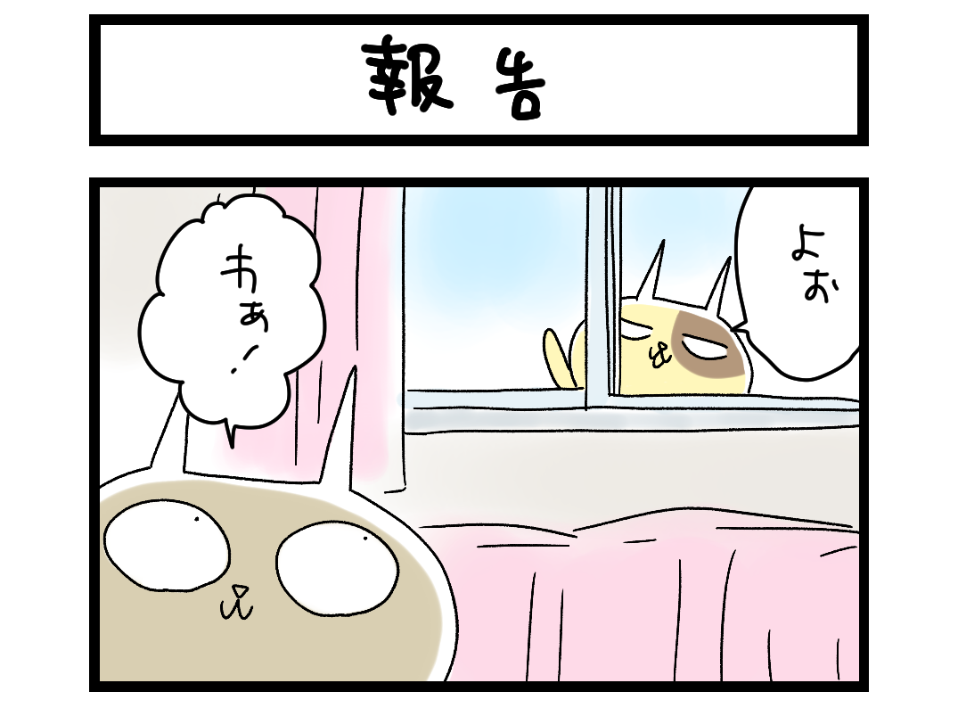 夜の4コマ部屋】報告 / サチコと神ねこ様 第2032回 / wako先生 | Pouch