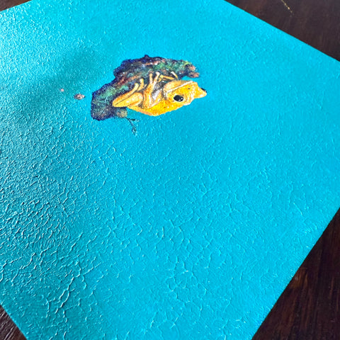 Golden Poison Dart Frog 