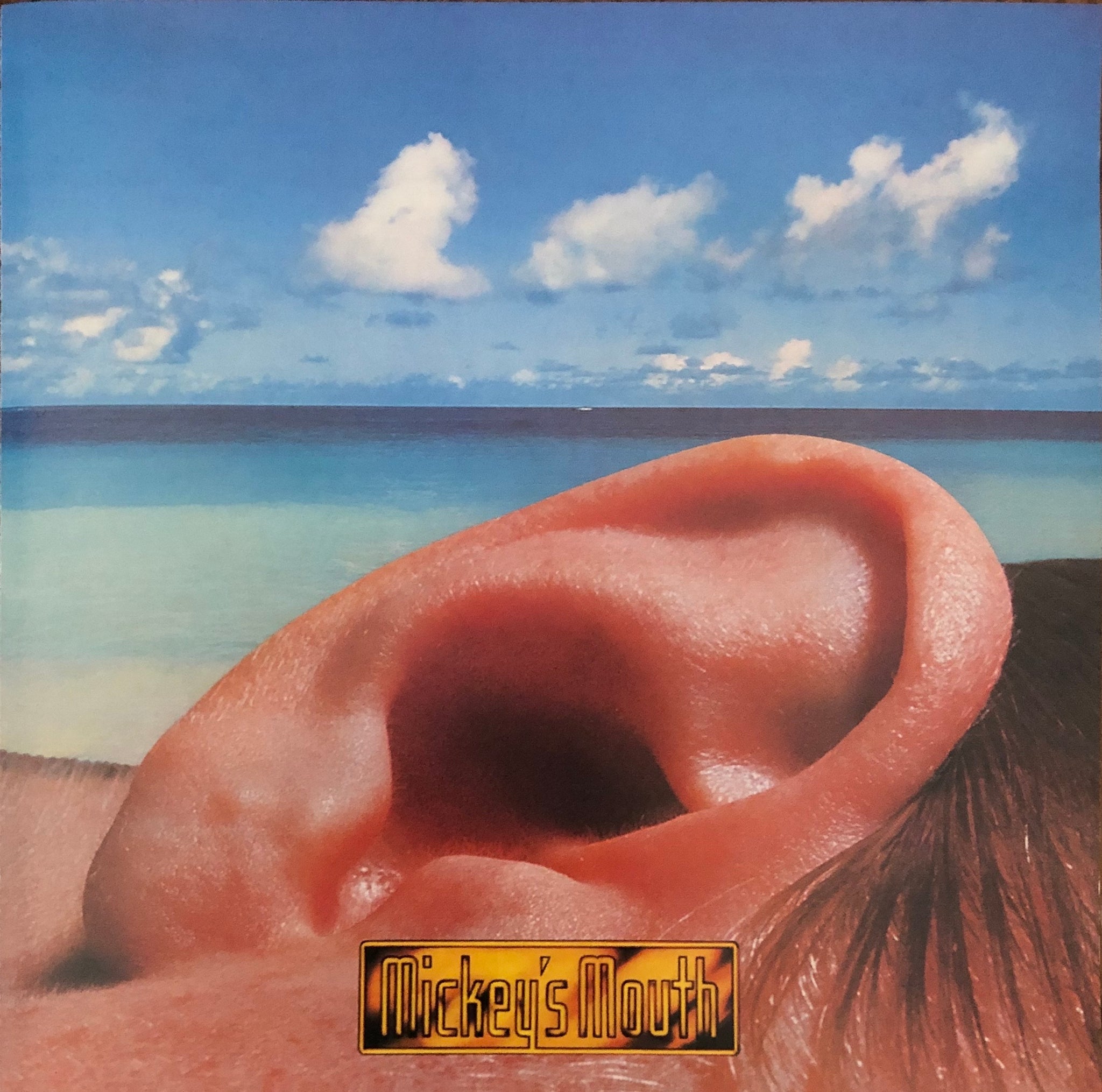 IMG_4733_2048x.jpg?v=1589950306