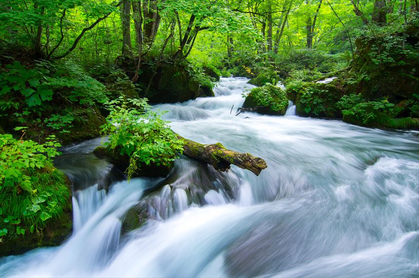 奥入瀬渓流