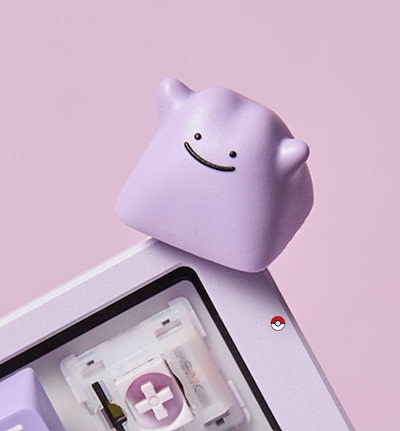 Qoo10] 【公式】韓国限定 ポケモンストア メタモ