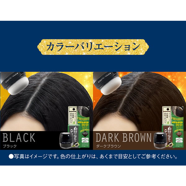 Qoo10] ブレーンコスモス 自然に仕上がるヘアファンデーション (送