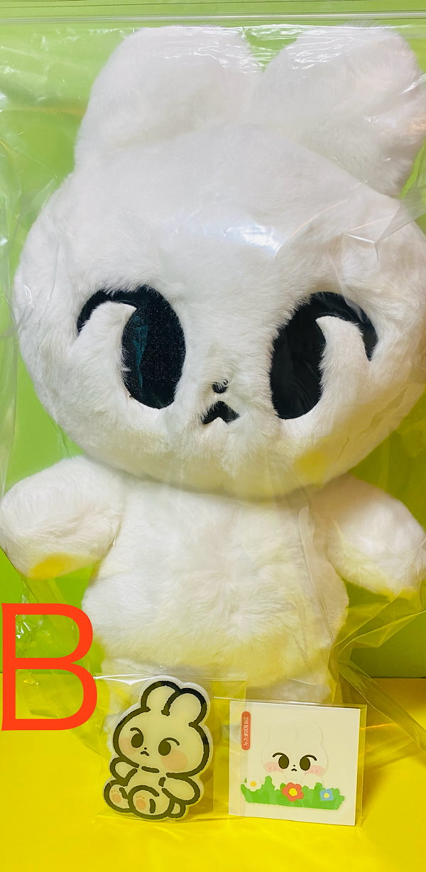 Qoo10] NCT127 ドヨン 45CM マスタ