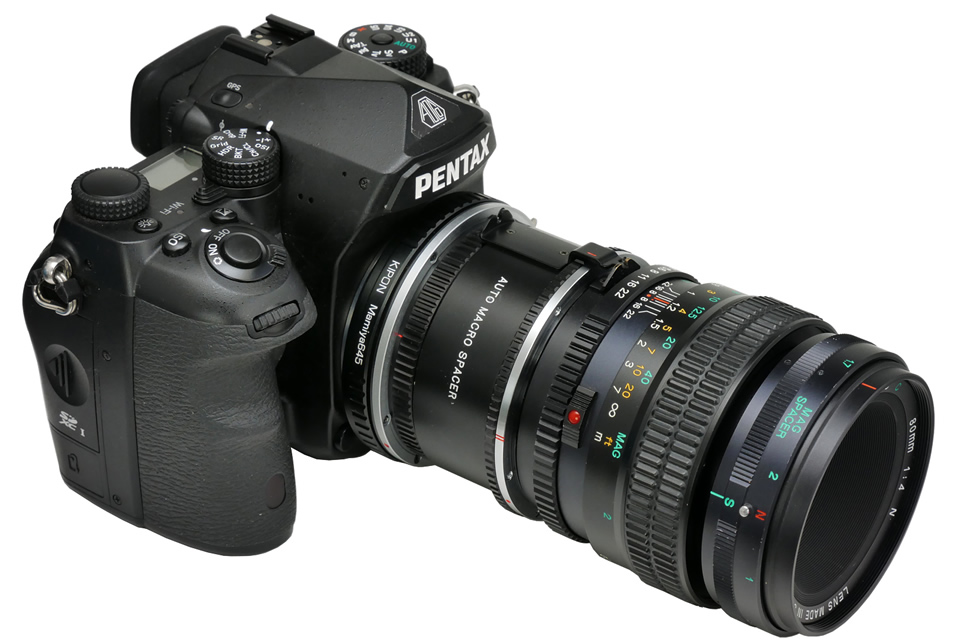 40年前の最先端マクロレンズを現代のフルサイズデジタル一眼レフで