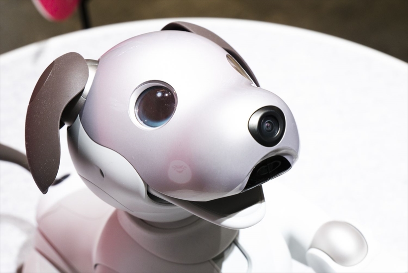 aibo動画まとめ】ソニー「aibo(アイボ)」を愛せるかな？ リアルだけど