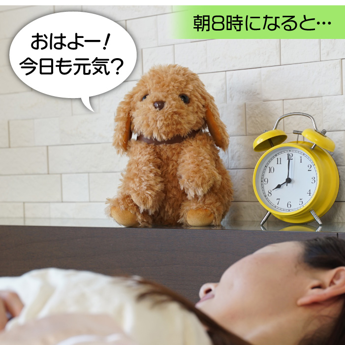 おしゃべりトイプードル│身近な優れものショップ